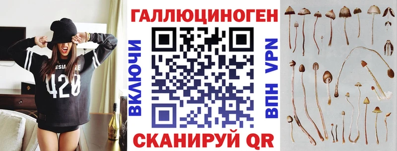 наркотики  Губаха  KRAKEN вход  Псилоцибиновые грибы Magic Shrooms 